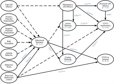 Theoretical Explanation of Upper Limb Functional Exercise and Its Maintenance in Postoperative Patients With Breast Cancer